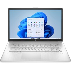 HP - 17,3 "Laptop - AMD Ryzen 3 5300U - 4 GB Speicher - 256 GB SSD - natürlich Silber
