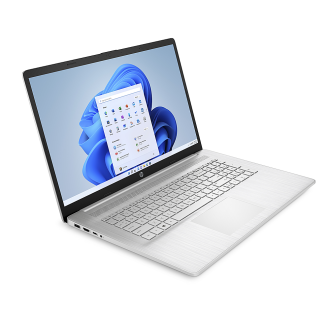 HP - 17,3 "Laptop - Intel Pentium Silber N5030 - 4 GB Speicher - 256 GB SSD - natürlich Silber